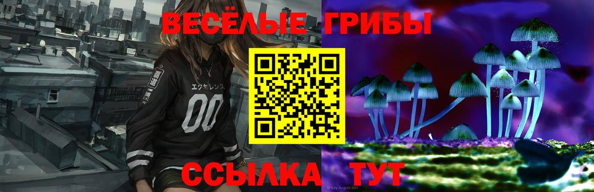 Псилоцибиновые грибы мухоморы  Вход с VPN  Отрадный 